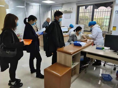 鉚足干勁辦實事，服務(wù)群眾開新局——岳麓區(qū)黨史學(xué)習(xí)教育引領(lǐng)教育咨詢服務(wù)新實踐